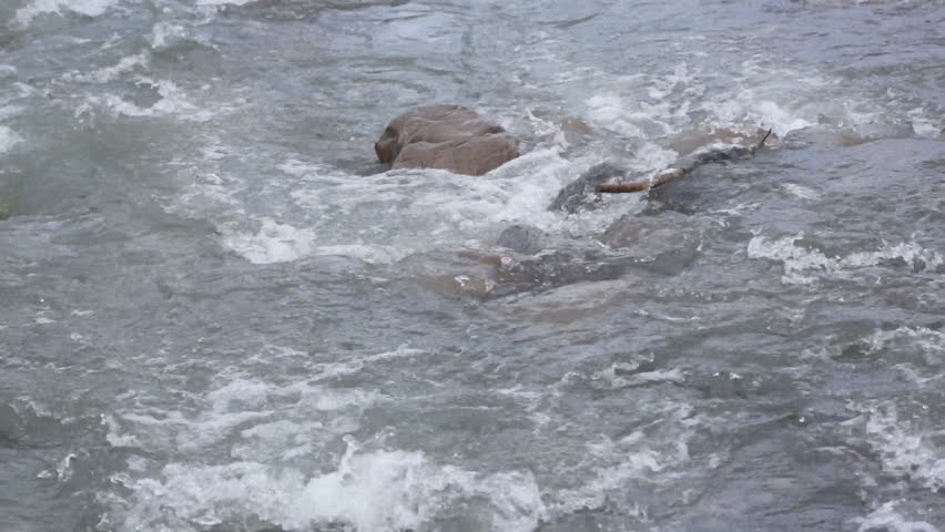 River in  switzerland
