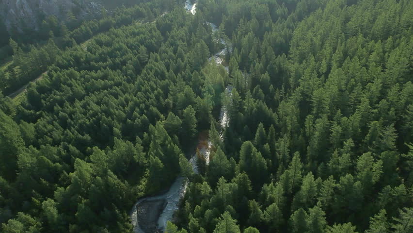 flight over forest in mountains