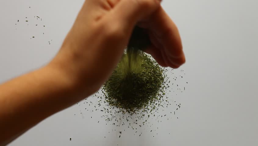 Young adult woman pours dry dill on table.
