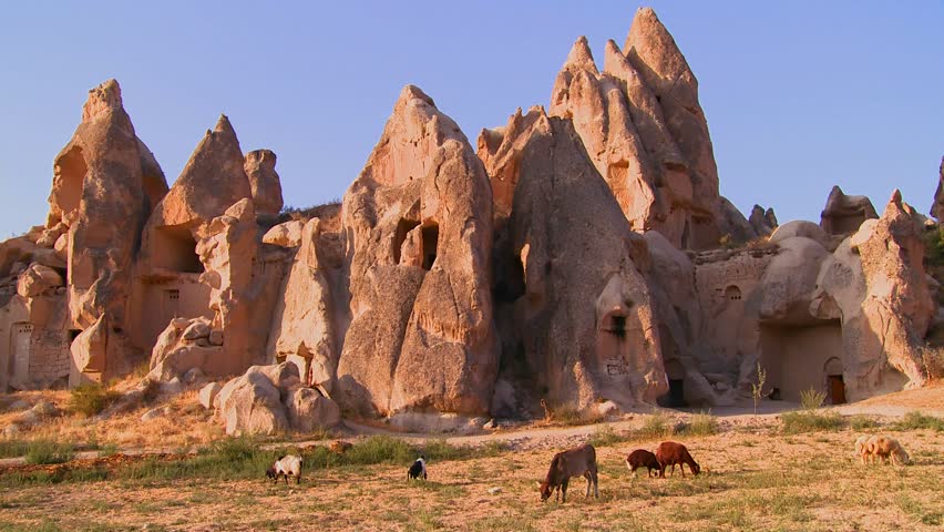 CAPPADOCIA, TURKEY, 2012 Cows graze in front of bizarre geological formations at Cappadocia, Turkey.