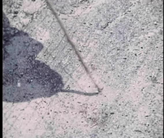 Man trying to get cigarette butt through a wire fence