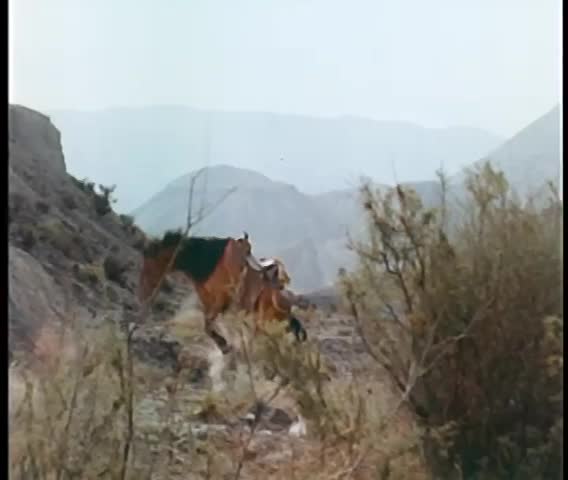 Horse falling backwards on a mountain range
