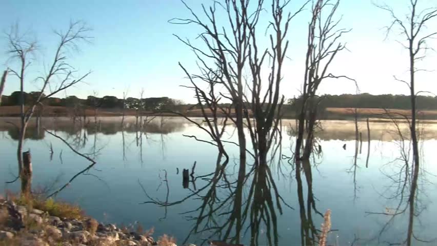 A pristine lake sunrise with fog and dead trees in water as camera pans from left to right.
