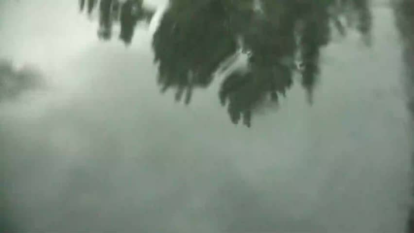 Rain drops into still puddle leaving behind wake, and reflections of trees blowing in the wind.