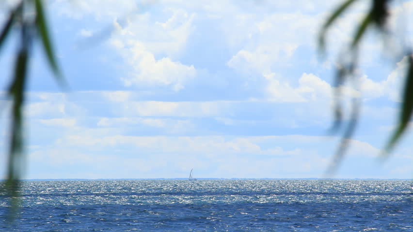 Lake Ontario Tranquility. A beautiful summer day in Toronto. Looking out over Lake Ontario through leaves from a weeping willow. and thunder clouds in the background