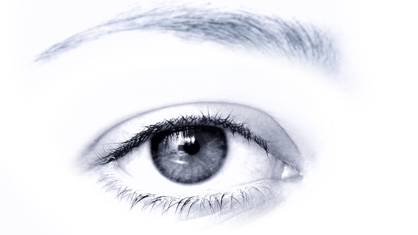 Female eye in close-up, looking at the viewer, then blinking. Isolated on  on white background. HD