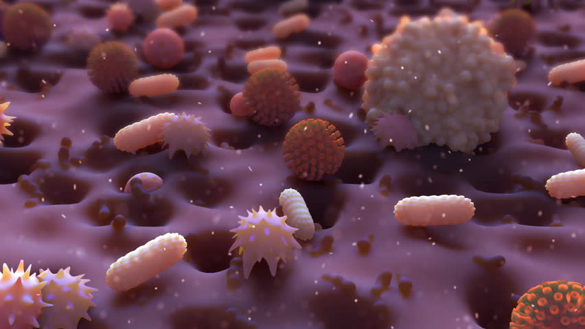 Medical video background - flying over group of bacterias. Might be used as a metaphor of a microworld