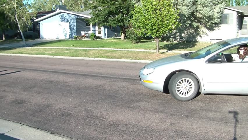 Family reverses out of driveway in sunlight waving goodbye with windows down, white puppy on adult woman, and drives away waving again.