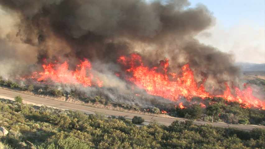 Wildfire Flames, Forest Fully Engulfed by Fire 3
