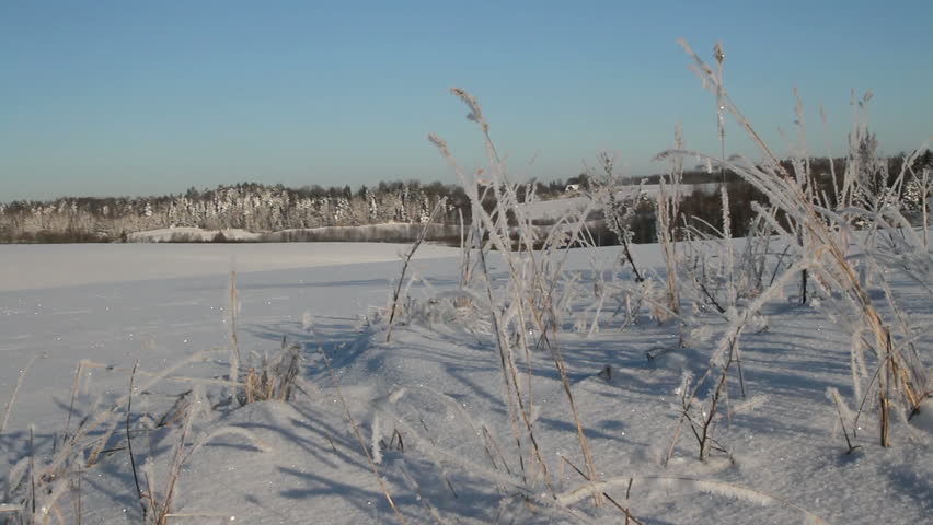 Country landscape in a winter.