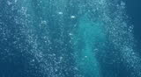 bubbles comes up