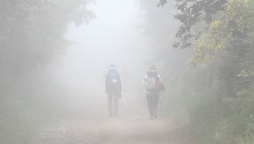 hikers hiking in the fog