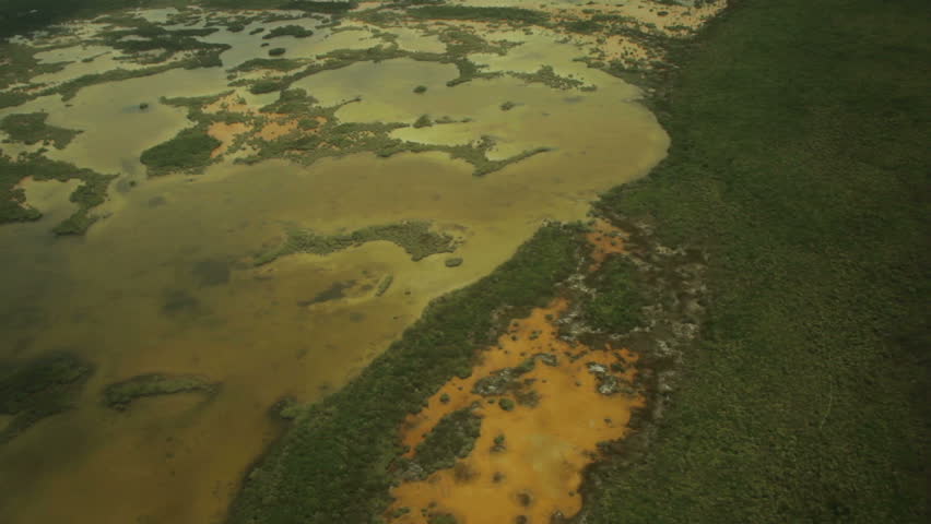 Swampy Aerial