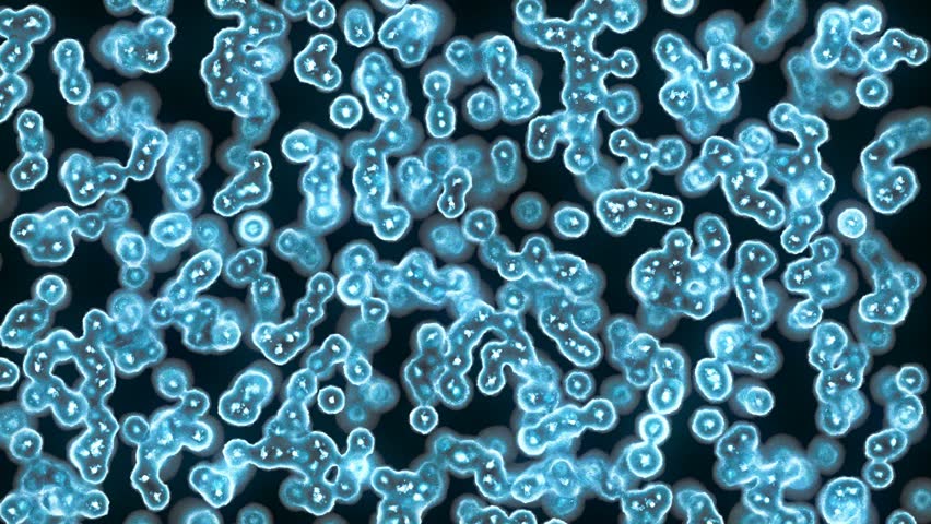 high definition microbiology, cells and bacteria under microscope  (Hd, seamless loop)