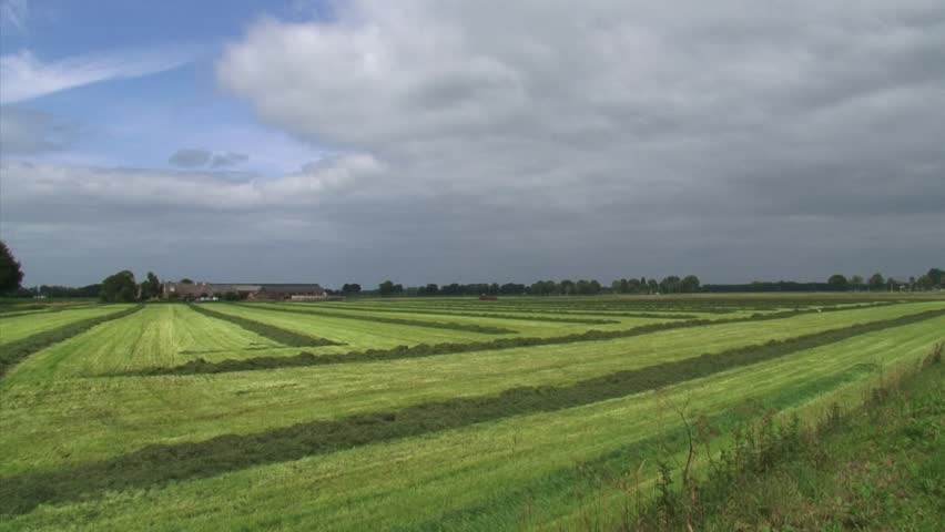Dark sky over hay field