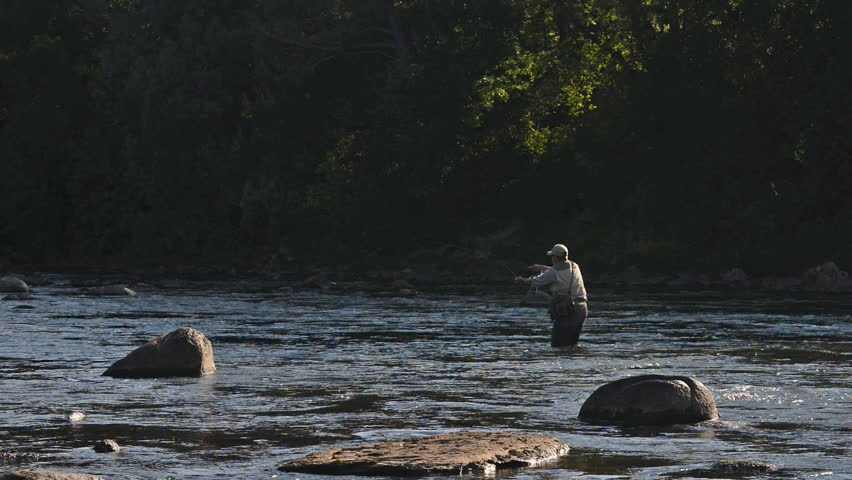 A wide shot of a man in waterproof overalls as he stands in a river and casts his lure with his rod while he spends his day fly fishing.