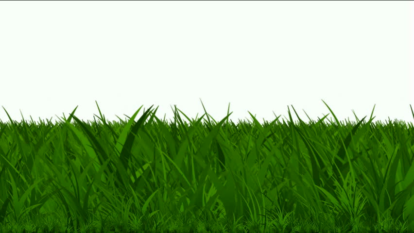 Animated Grass Stock Footage Video 40085 | Shutterstock