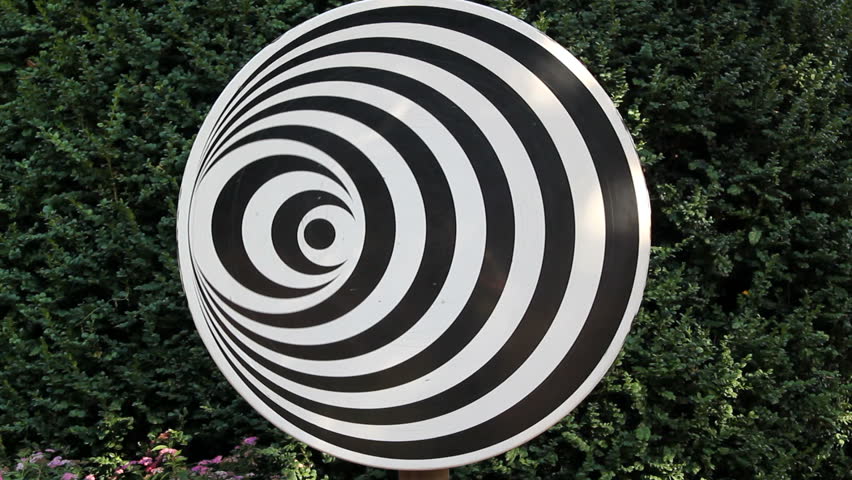 rotating disc showing an optical illusion