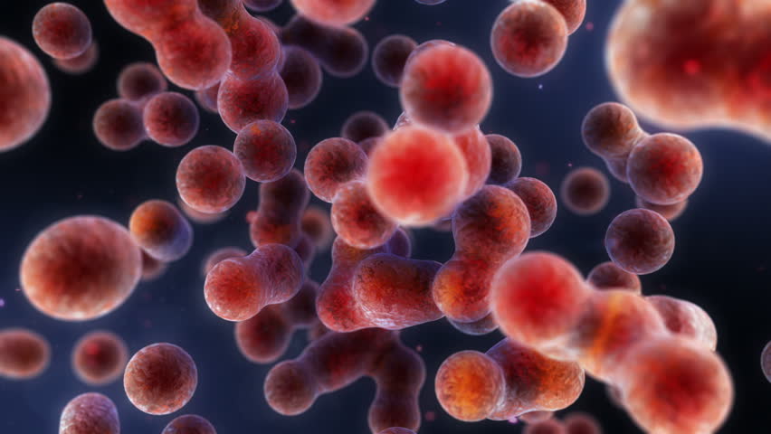 3D dynamic cells multiplying. Depth of field.