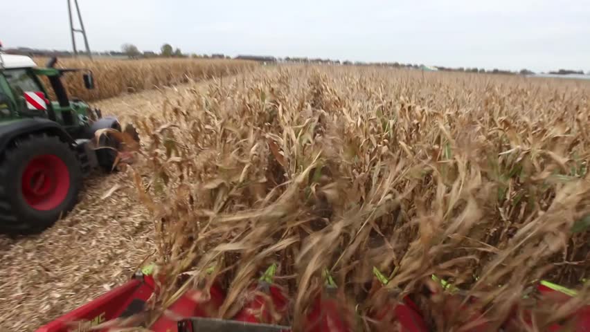 Tractor in field