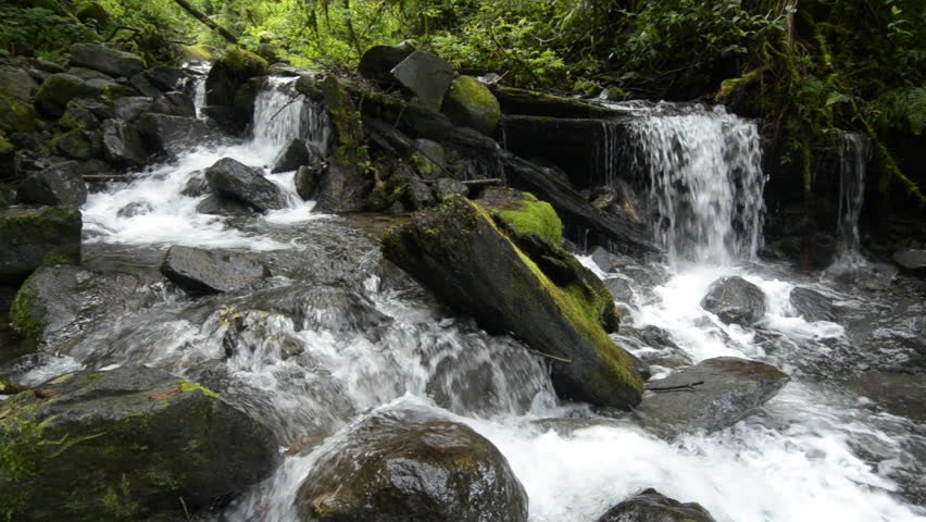 Waterfall in rainforest, International park La Amistad, PanamÃ¡, C.A.