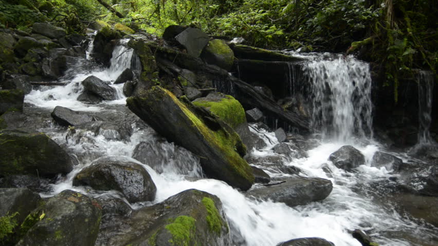 Waterfall in rainforest, International park La Amistad, PanamÃ¡, C.A.