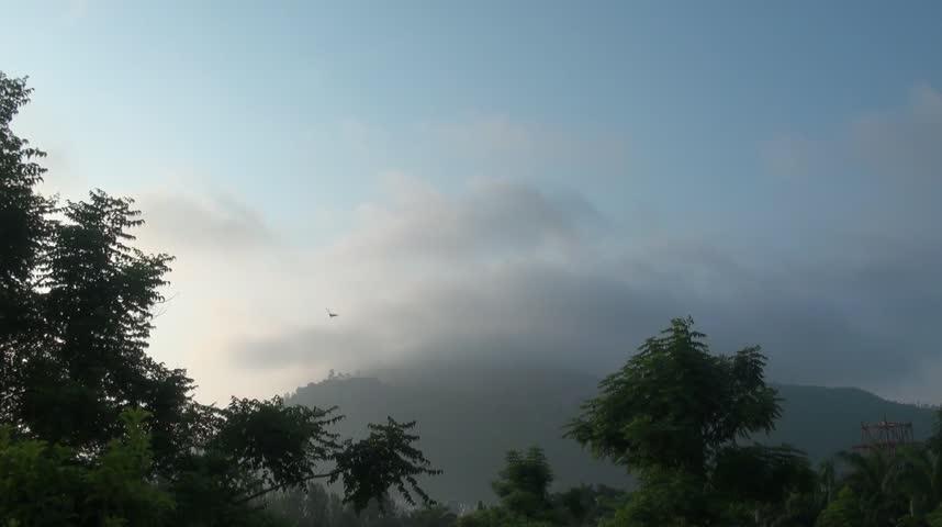 Sky with Flying Bird