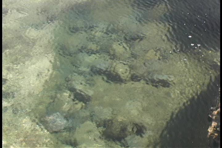 Tide Pool with Ripples