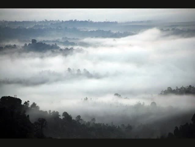 A beautiful time lapse over tropical forest