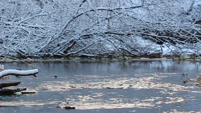 Willow Creek flows through Rock Cut State Park of Illinois on a snowy winter day