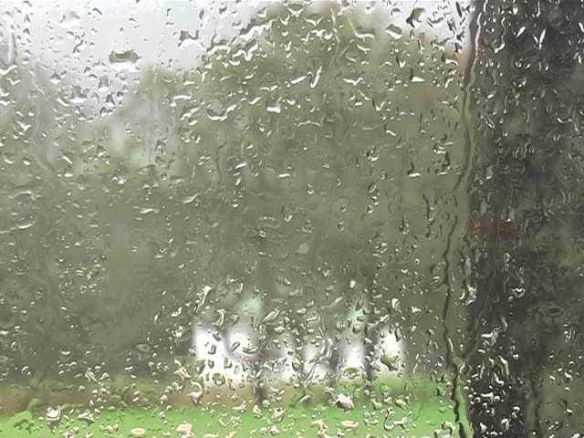 Rain against a window. Perfect for background usage