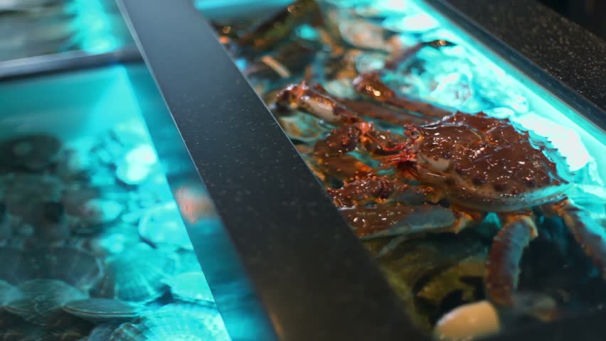 Crab sits in water of aquarium with rocks at restaurant