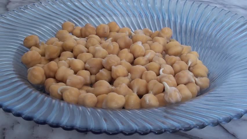sprouted chickpeas on plate, side view, close up, zoom in 