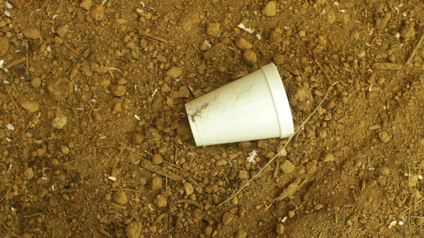 styrofoam in the dirt, pollution biodegradable  concept.
