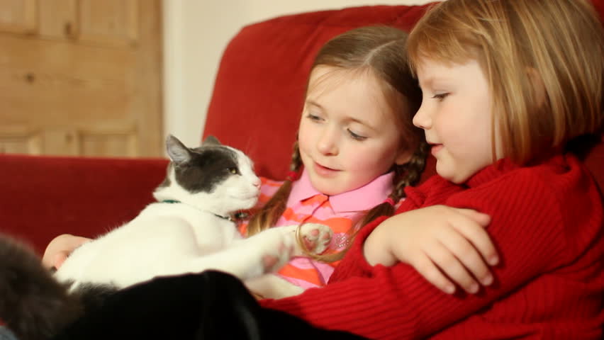 Two little girls cuddling a gorgeous cat on a sofa