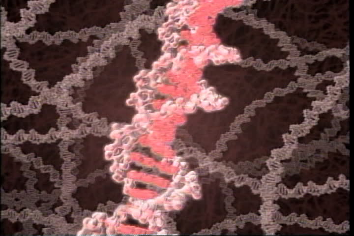Rotating DNA spiral, helix separates and reproduces itself with a mutated gene.