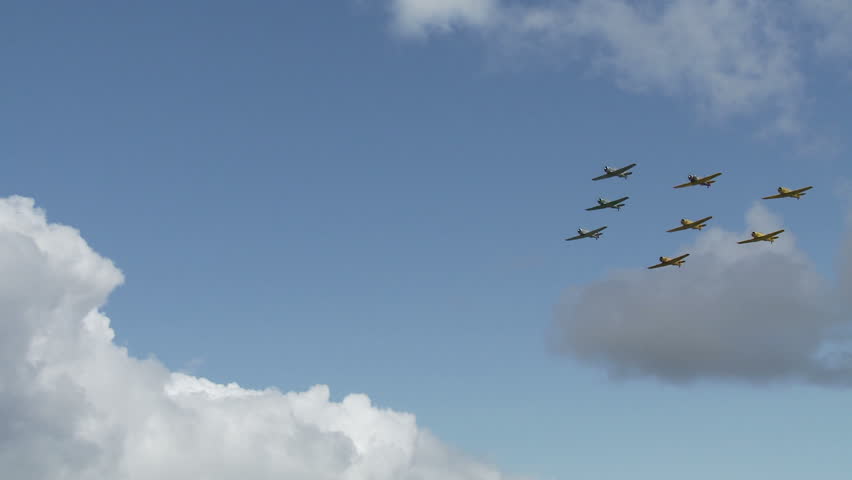 USAF T-6 Texans flying in formation with Canadian Air Force Harvards, eight small training aircraft from WWII.