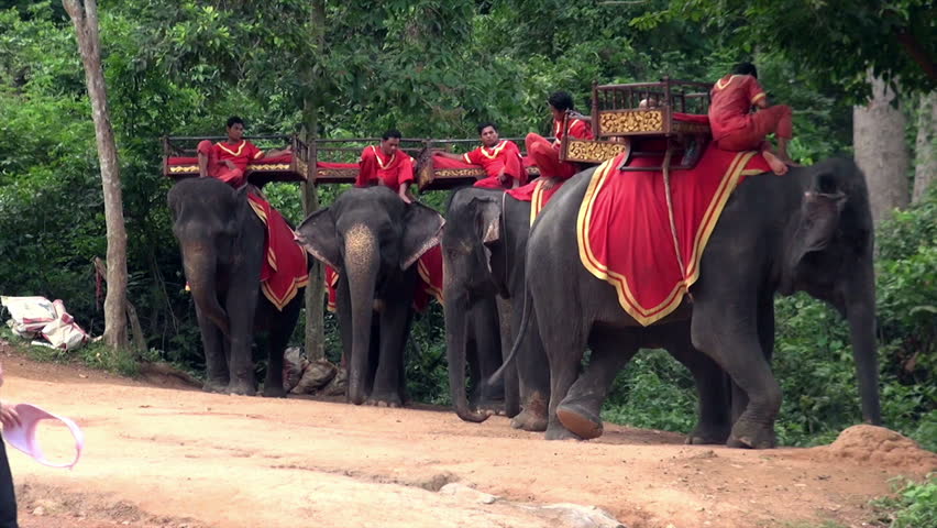 SIEM REAP, CAMBODIA - CIRCA JUNE 2011 - Elephant riders rest on elephants at the  Phnom Bakheng entrance, one of Angkor Wat temples. 