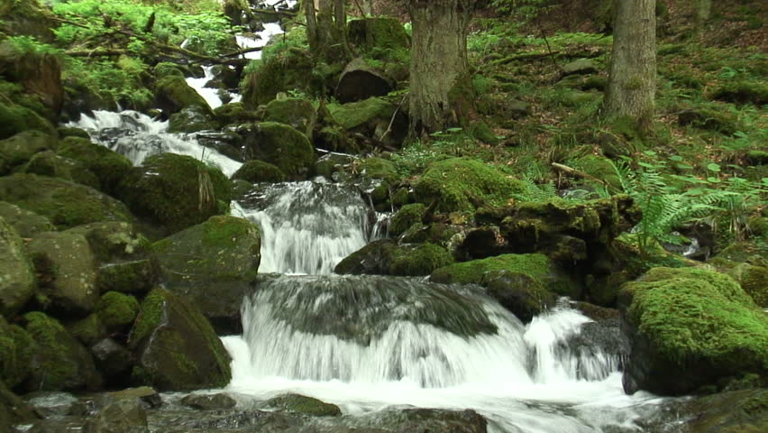 1080i: Panorama of the mountain creek Lauch in the Vosges mountains.Tripod. Sound.