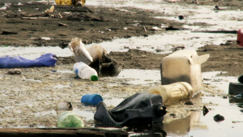 Closeup of beautiful girl cleaning dirty beach in italy/This is a terrible mistake and horrible mess I will end this cleaning with my hands