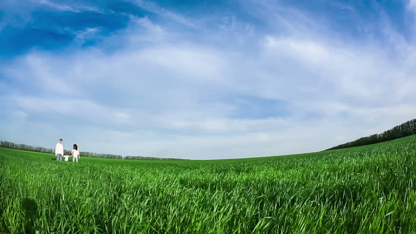 Happy family walking in summer field