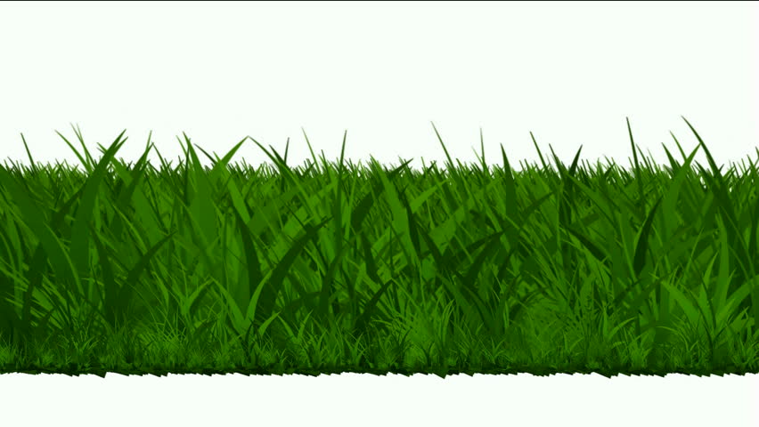 grass