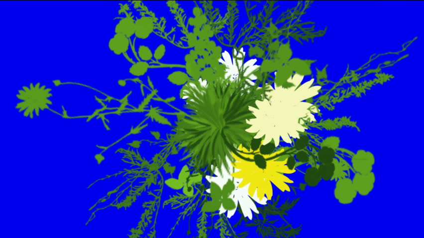 flower & plant growing silhouette.