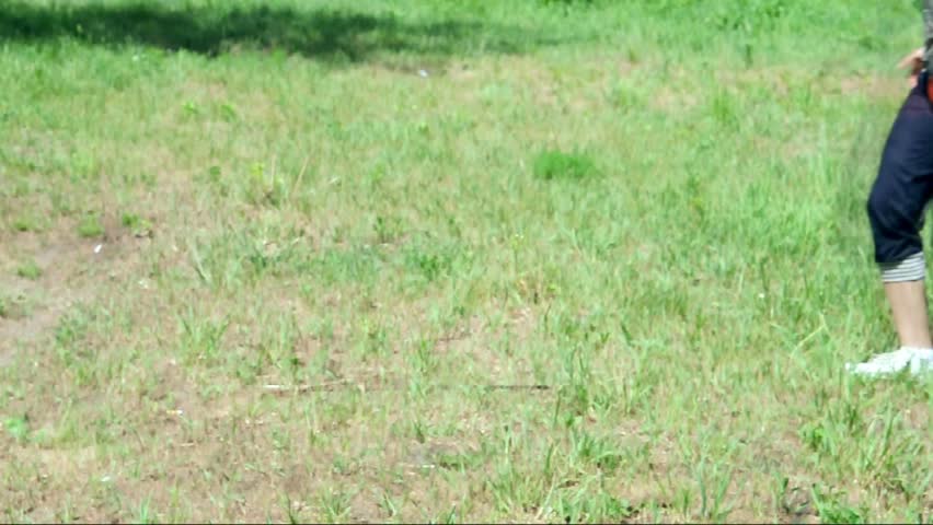 bullmastiff dog and trainer or handler run and walk