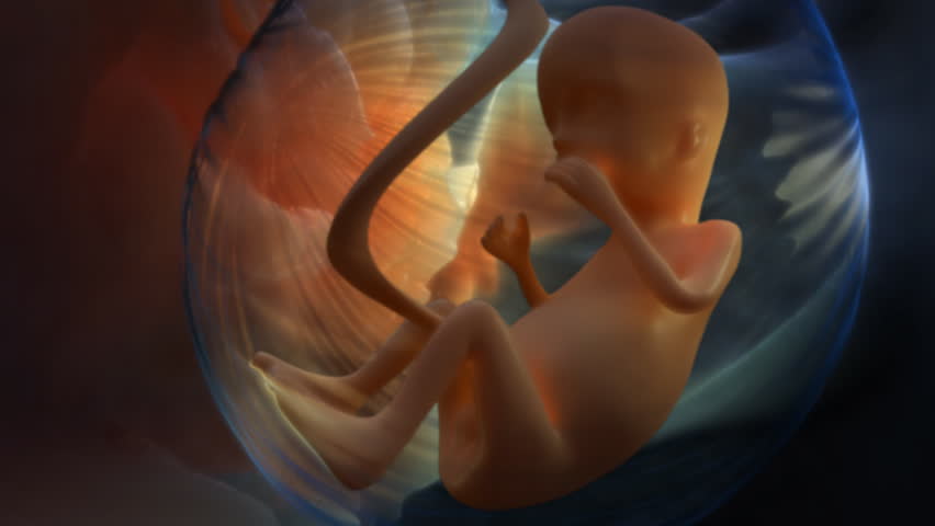 Unborn baby
