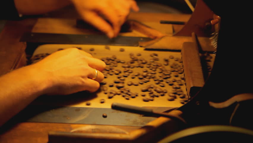 real quality control of fresh roasted coffee beans