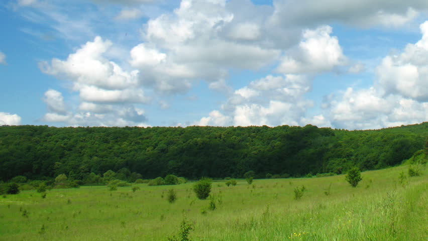 Summer landscape - field of grass. Timelapse