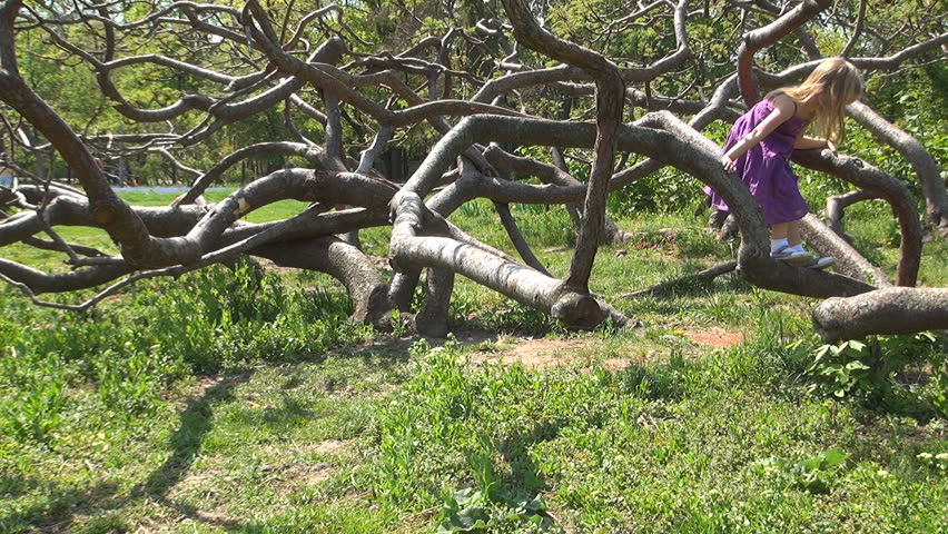 Child Jumping on a Branch Tree, Girl Playing and Swinging in Park, Children