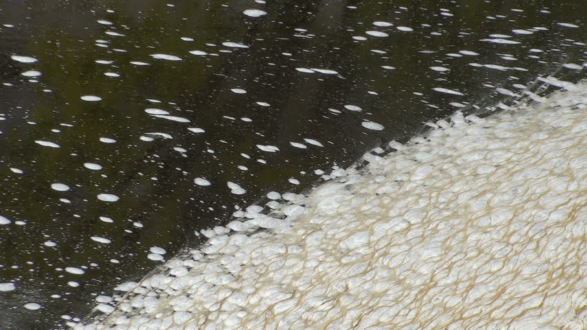 1920x1080 White flecks of shiny pond scum accumulate on shore.