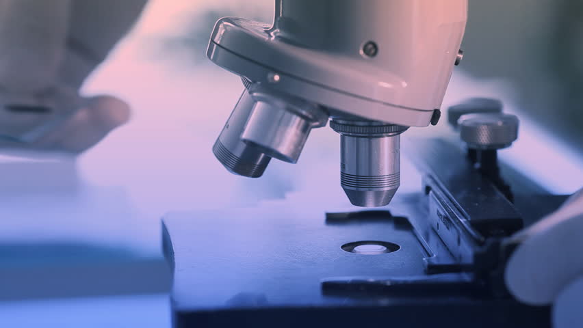 A scientist places a slide on the specimen stage of a laboratory microscope and then makes adjustments to the focus.